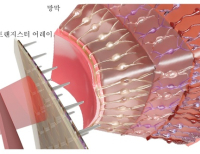 기사이미지